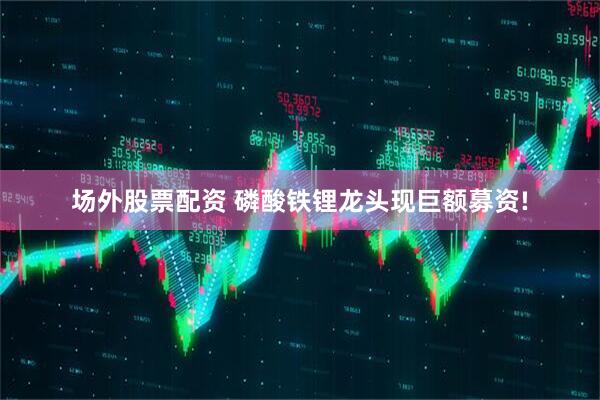 场外股票配资 磷酸铁锂龙头现巨额募资!