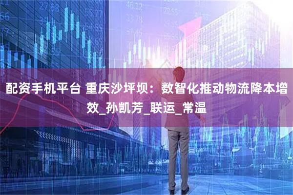 配资手机平台 重庆沙坪坝：数智化推动物流降本增效_孙凯芳_联运_常温